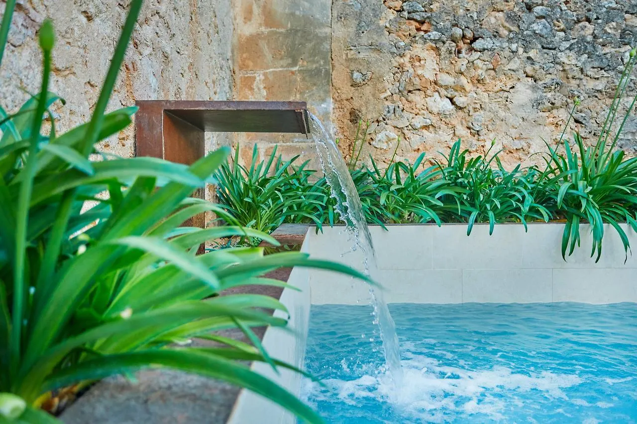 Sa Creu Nova Petit Palais Art & Spa (Adults Only) Campos  Spain